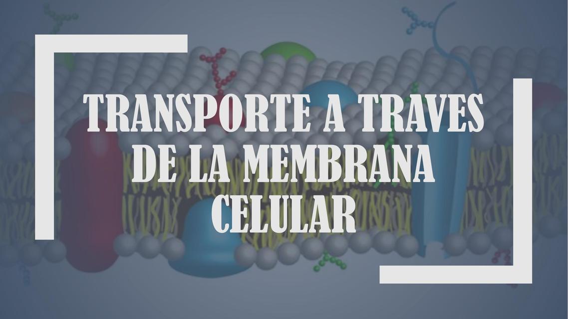 TRANSPORTE A TRAVÉS DE MEMBRANA 