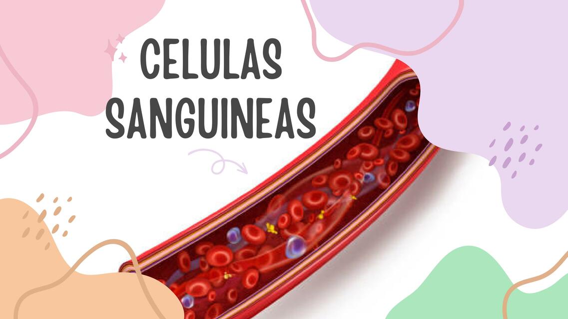 CELULAS SANGUINEAS