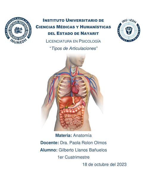 Tipos de Articulaciones 