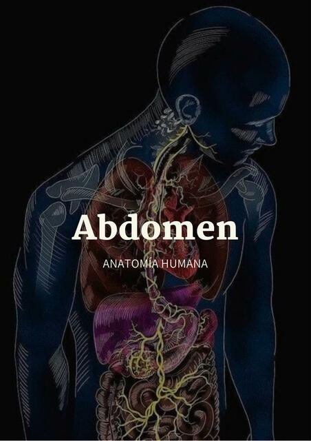 Abdomen II | med learn21 | uDocz