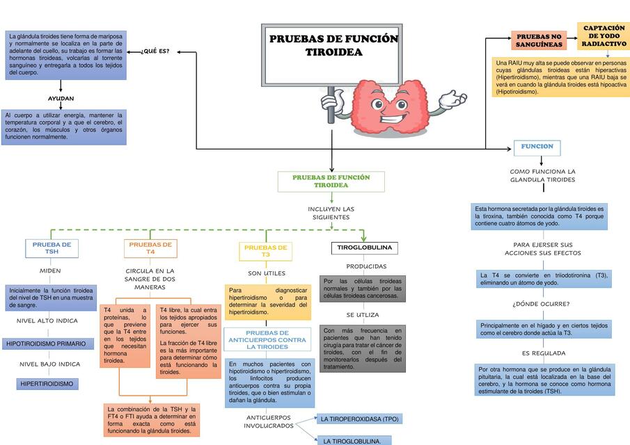 MAPA PRUEBAS DE FUNCIÓN TIROIDEA