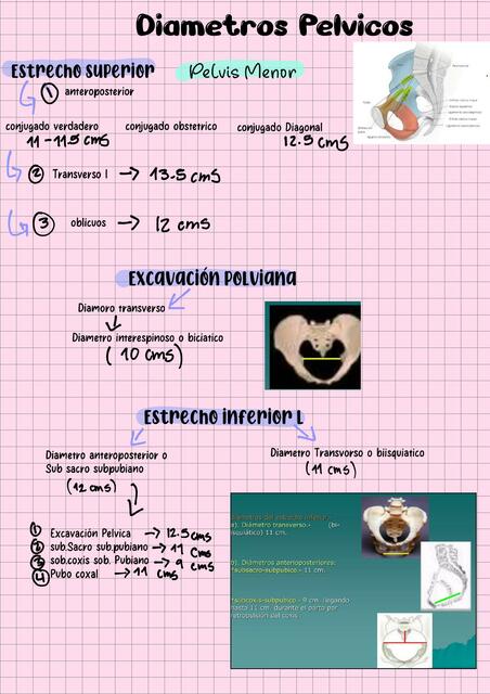 Diametros pelvicos