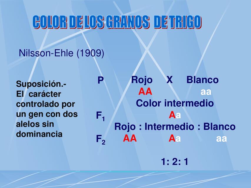 Color de los granos de trigo | geraldine cuevas | uDocz