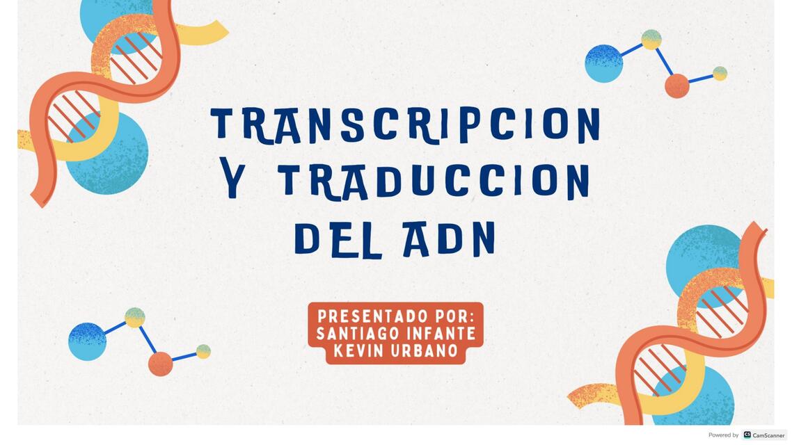 Transcripción y Traducción del ADN  