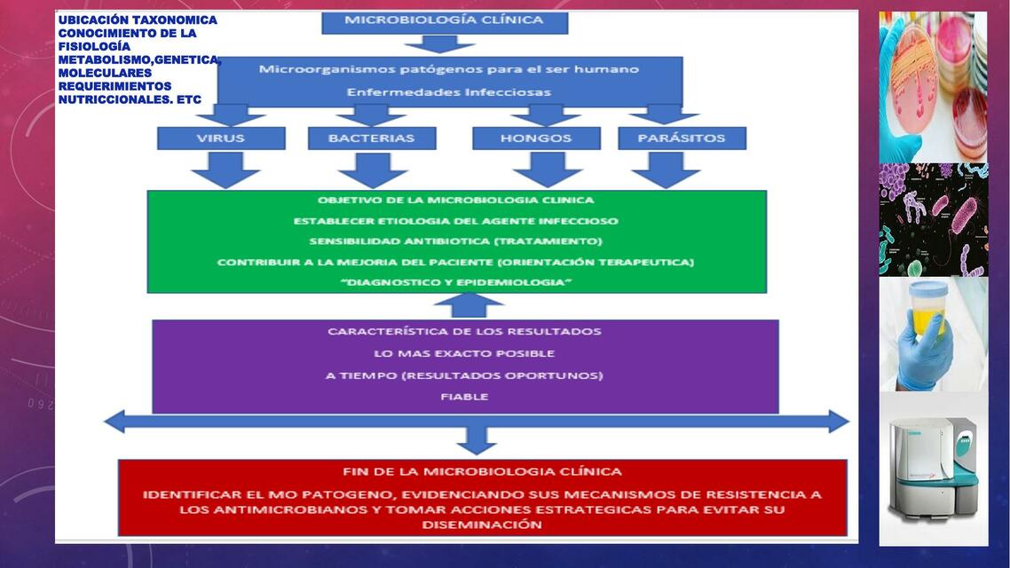 Teoría 8 Microbiología automatizada