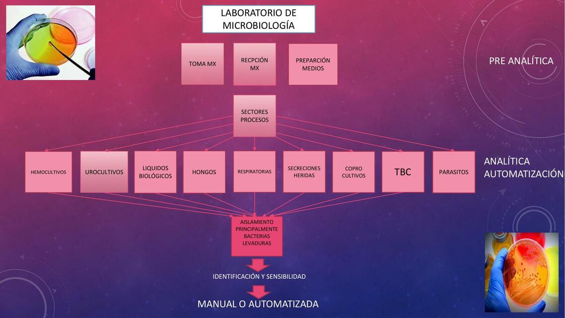 Teoría 8 Microbiología automatizada