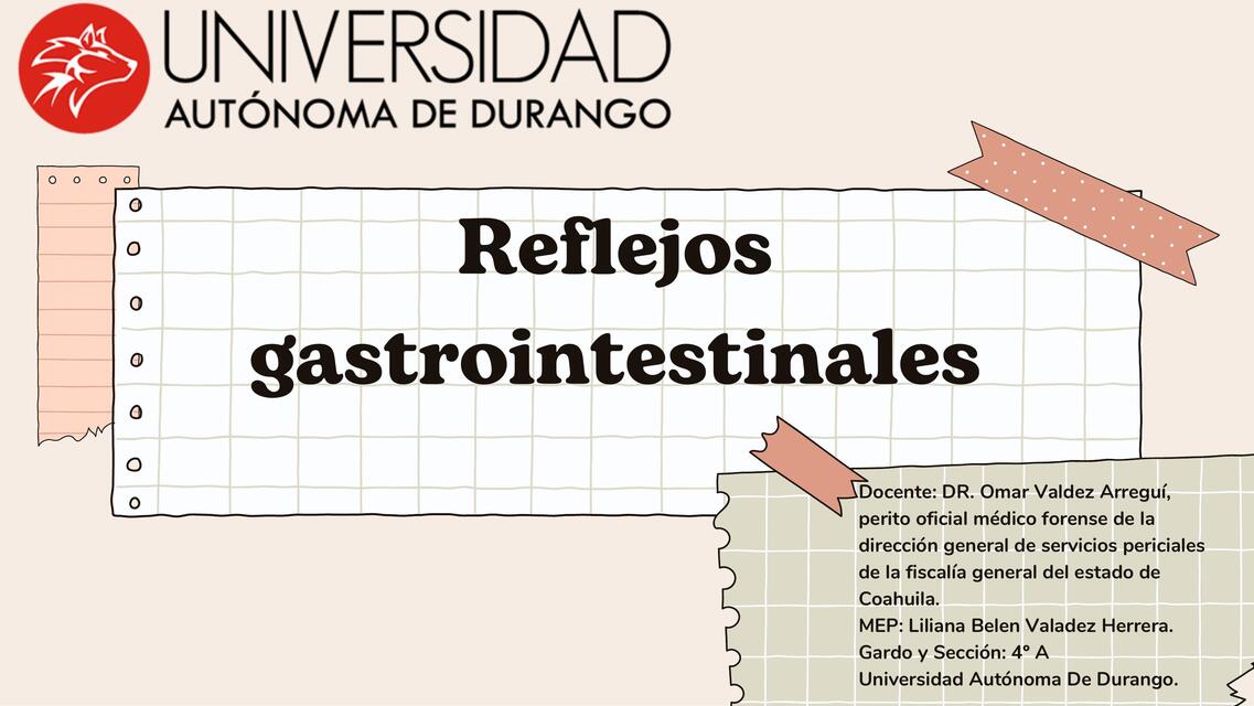 Reflejos gastrointestinales