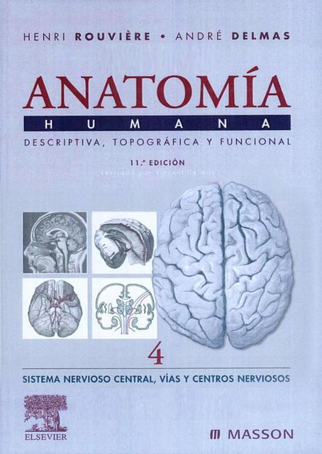 Rouviere Anatomia 11va Ed T4 Libros Anatomia Udocz