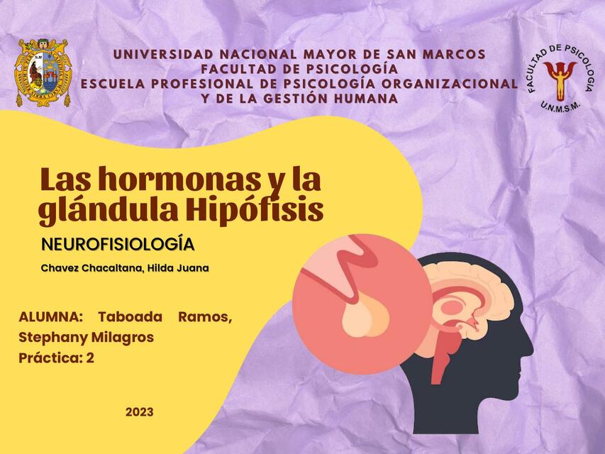 Las hormonas y la glándula hipófisis