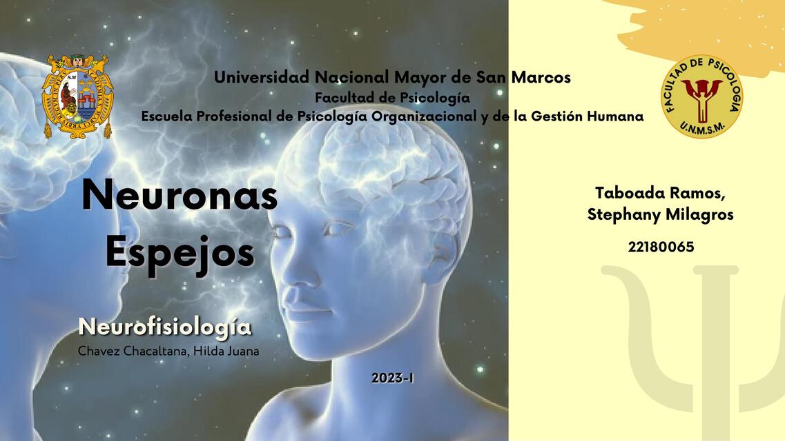 Neuronas Espejos 