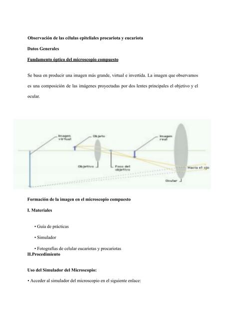 Observación de las células epiteliales procariota y eucariota 