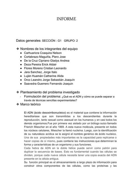 ¿Qué es el ADN y cómo se puede separar a través de técnicas sencillas experimentales?