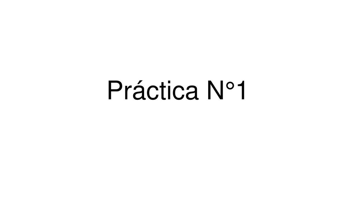 Práctica N°1 