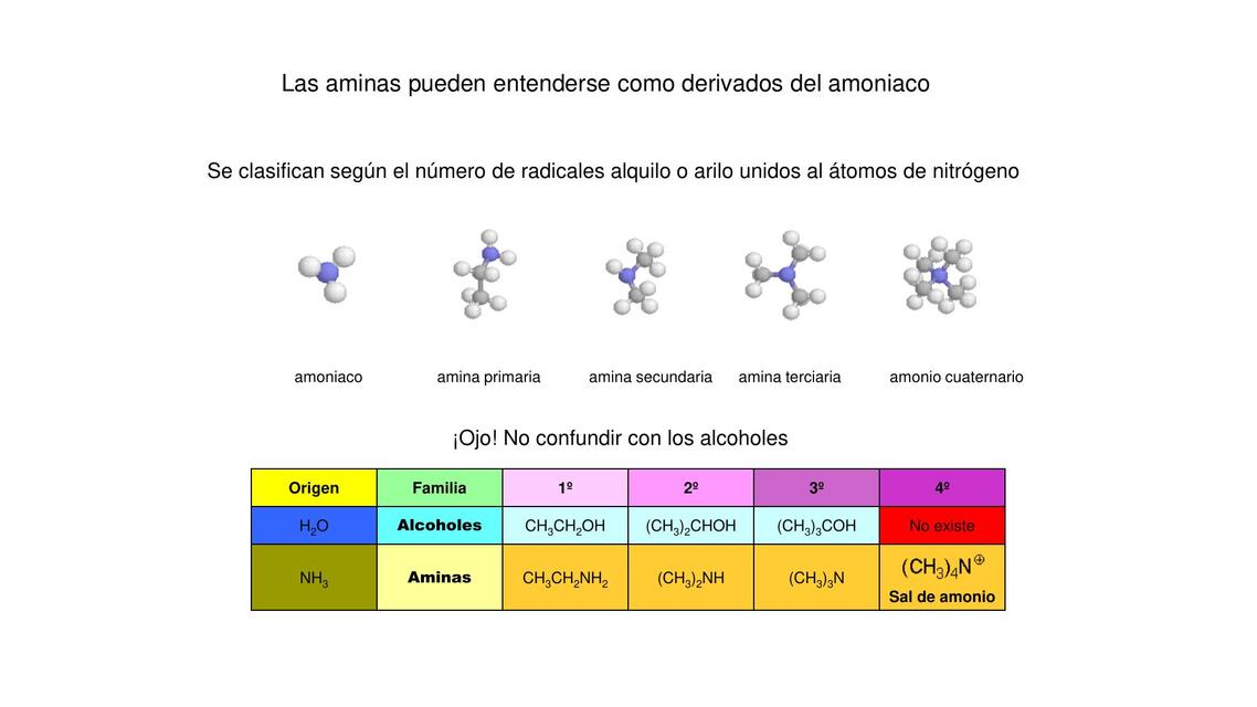 Las aminas pueden entenderse como derivados del amoniaco 