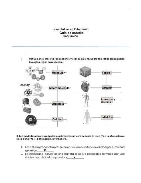 Guía de estudio