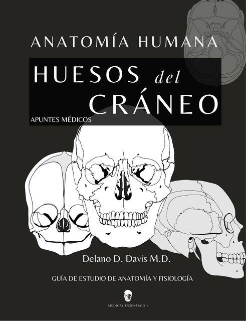 Anatomía Humana Huesos Del Cráneo Ebook