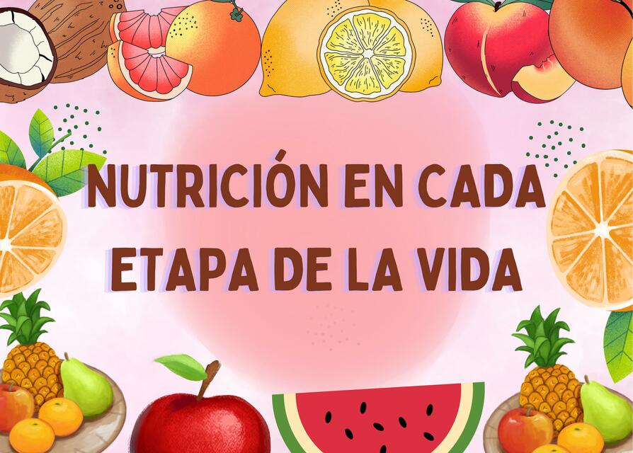 Nutrición en Cada Etapa de la Vida 