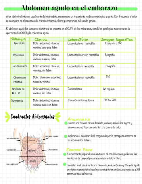 Abdomen Agudo En El Embarazo