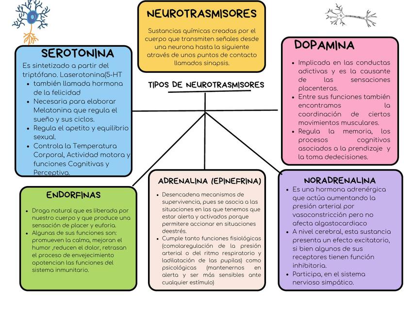 tipos de neurotrasmisores