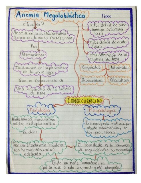 Anemia Megaloblastica RamssesMartinez