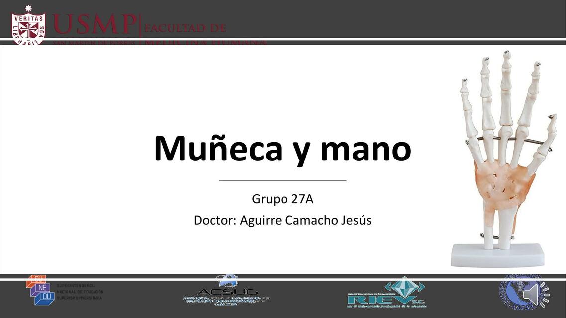 Anatomía de la muñeca y mano | Luigui Manayalle Guevara | uDocz