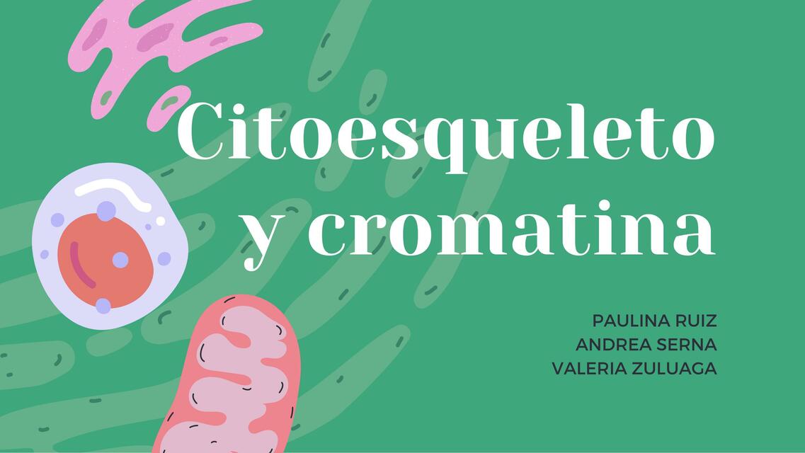 Citoesqueleto y Cromatina