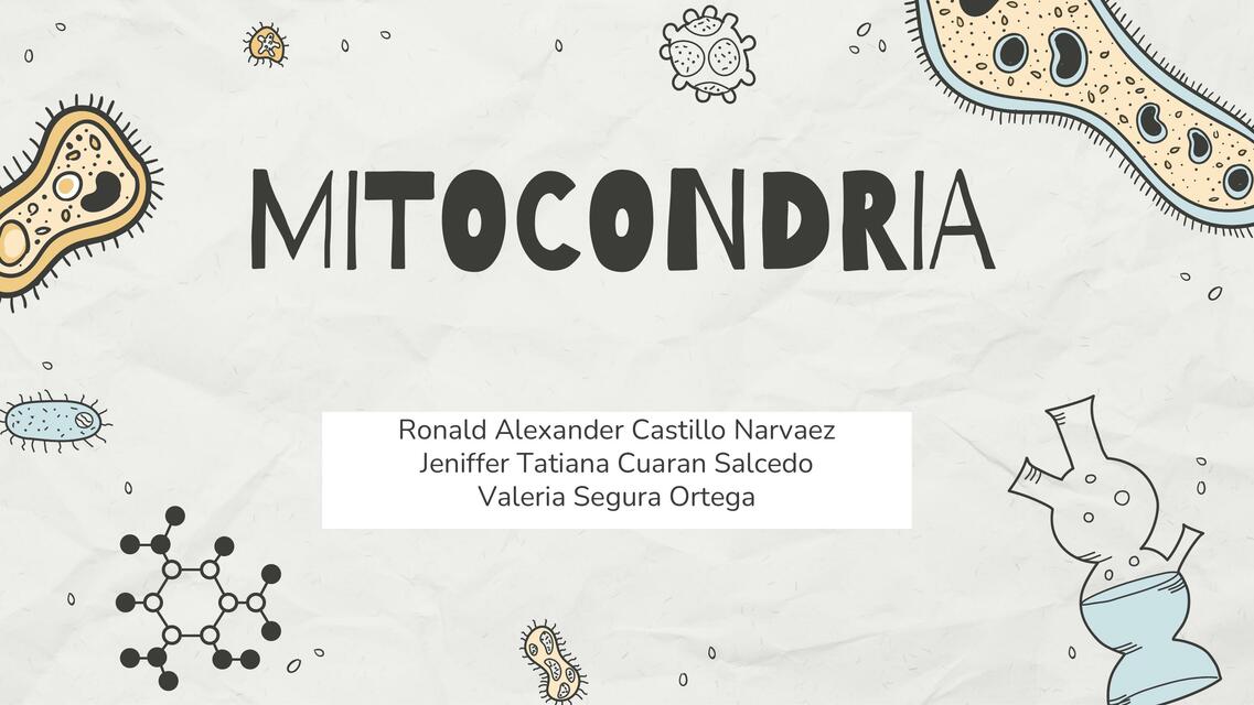 Mitocondria pdf