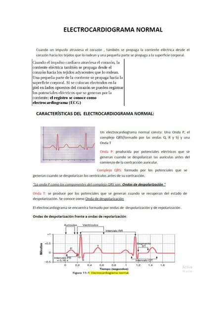 Capítulo 11 electrocardiograma normal fisiología médica guyton resumen  