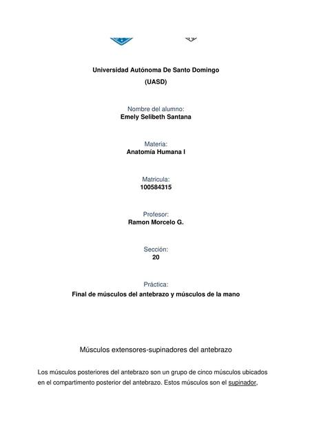 Final de músculos del antebrazo y músculos de la m