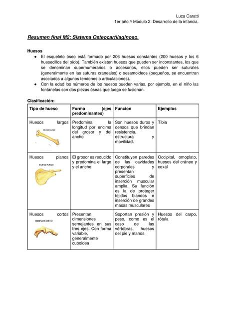 Resumen final M2 Sistema Osteocartilaginoso 