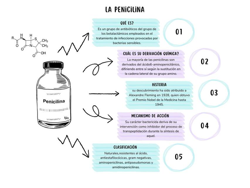 Flashcard - Penicilina