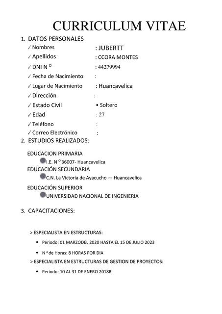 Curriculum vitae