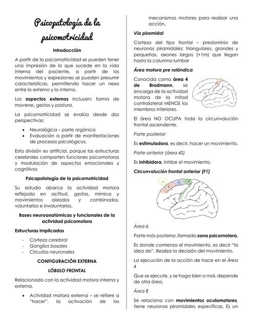 Psicopatología de la psicomotricidad