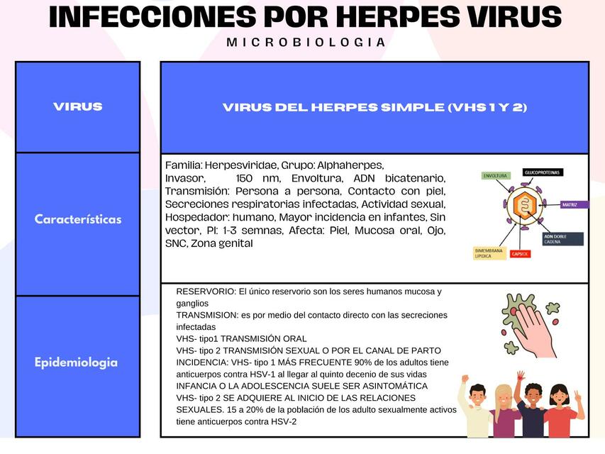 Virus del herpes (VHS 1 y 2 VVZ)