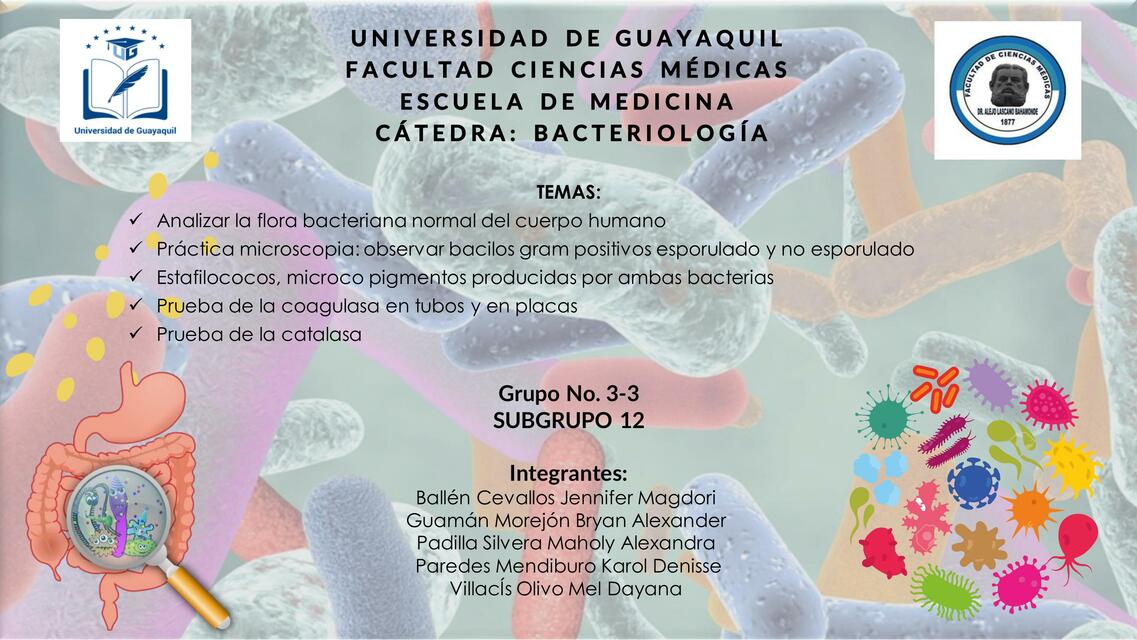 Flora Bacteriana Normal - Bacilos Gram(+) esporulados y no esporulados