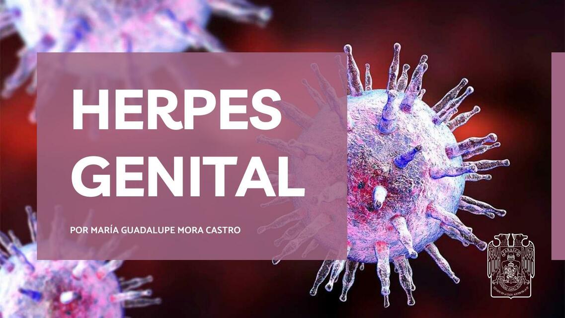 Herpes genital