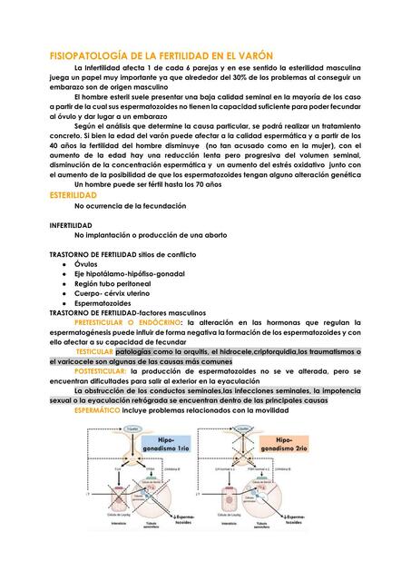 Fisiopatología de la fertilidad en el varón 