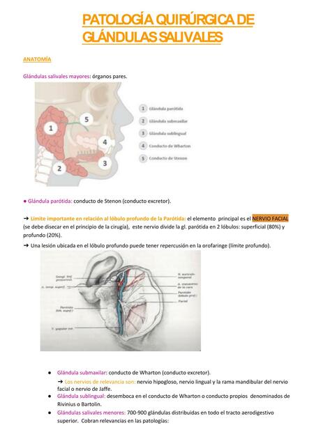 Patología de glándulas salivales