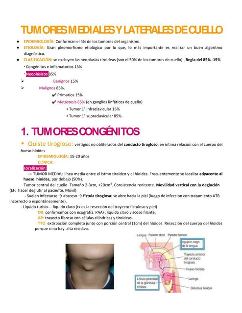 Tu laterales y mediales de cuello