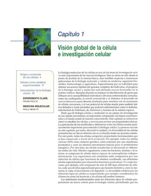 Visión de global de la célula e investigación celular 