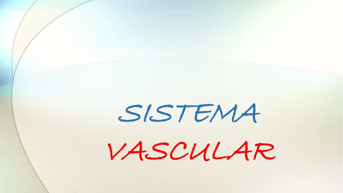 Sistema vascular 