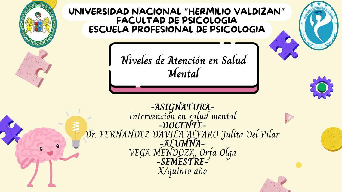 Niveles de Atención en Salud Mental