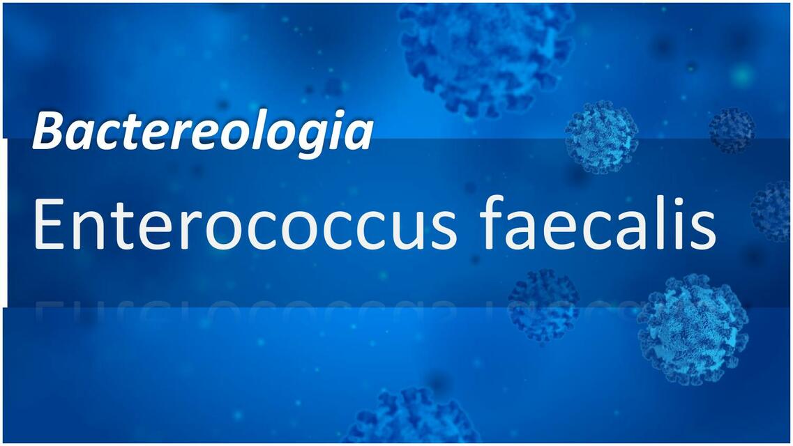 Enterococcus faecalis