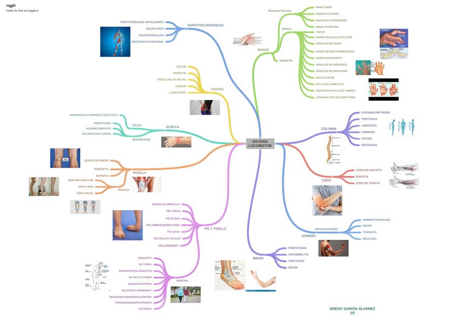 Medicina