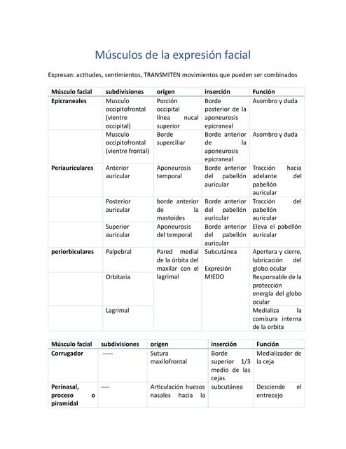 Músculos de la expresión facial