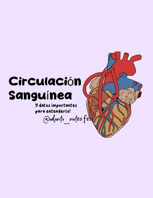 Circulación Sanguínea