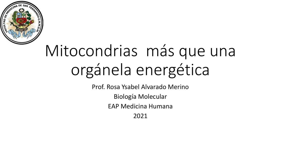 Mitocondrias 1