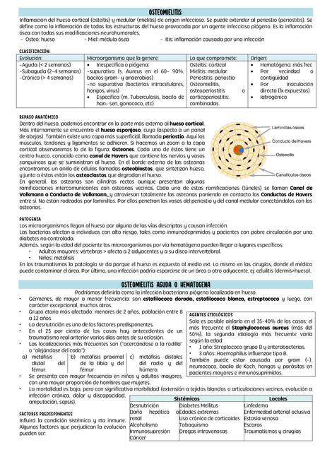 Osteomielitis uDocz