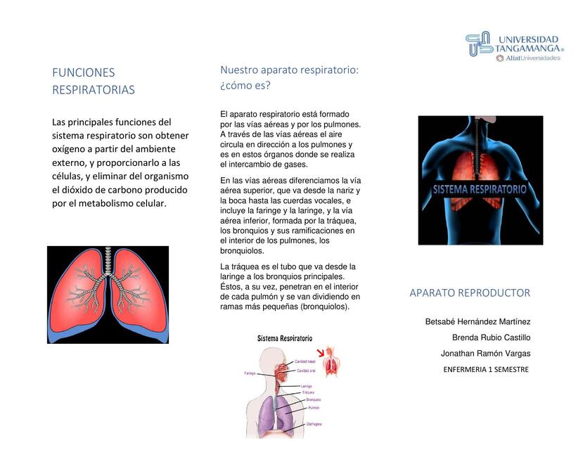 Funciones Respiratorias 