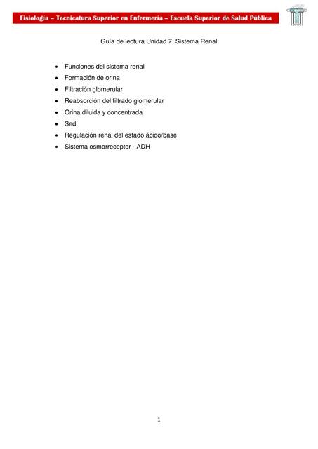 Sistema Renal 